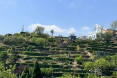 澳波：上任后全队只合练了一次，阿森纳第二个进球让我们逆转无望